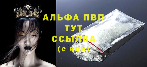 дживик Бородино