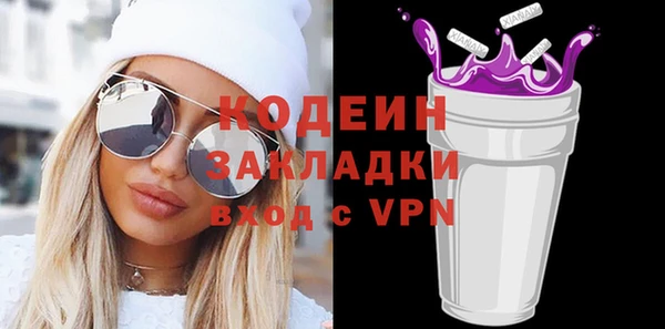 дживик Бородино