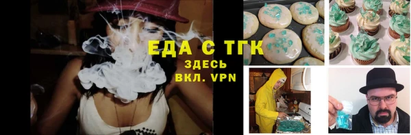 дживик Бородино