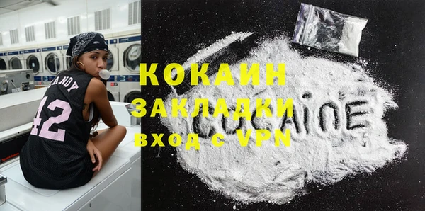 дживик Бородино
