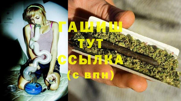 дживик Бородино