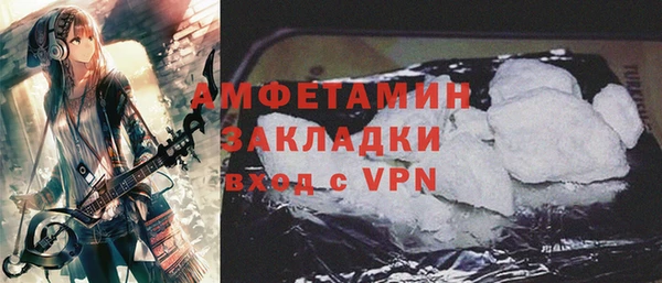 дживик Бородино