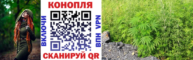 Бошки Шишки OG Kush  Кохма 